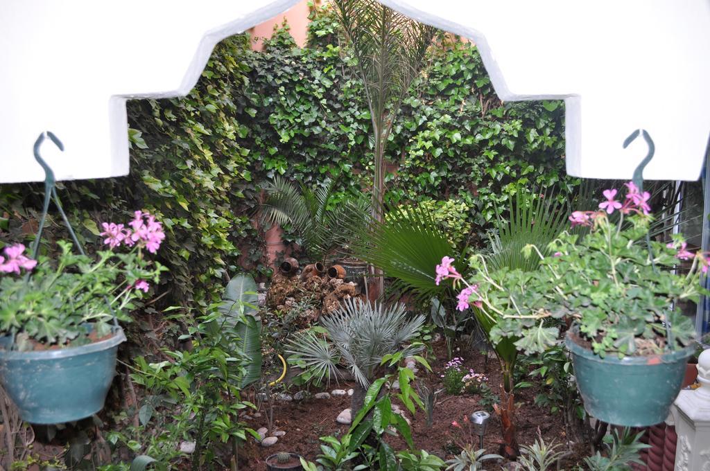 Zina Apartment Marrakesh Room photo